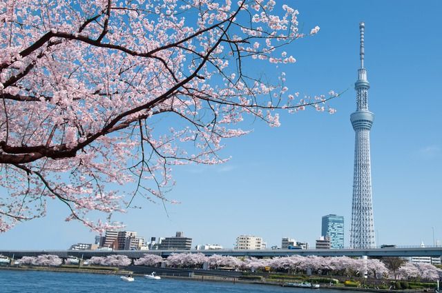 Vé máy bay giá rẻ tới Tokyo - Trái tim của Nhật Bản